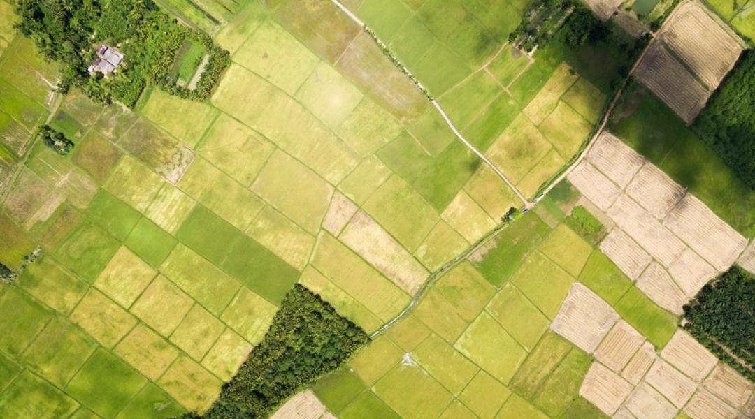 Állami földeket kínál eladásra az Agrárminisztérium – bárki licitálhat