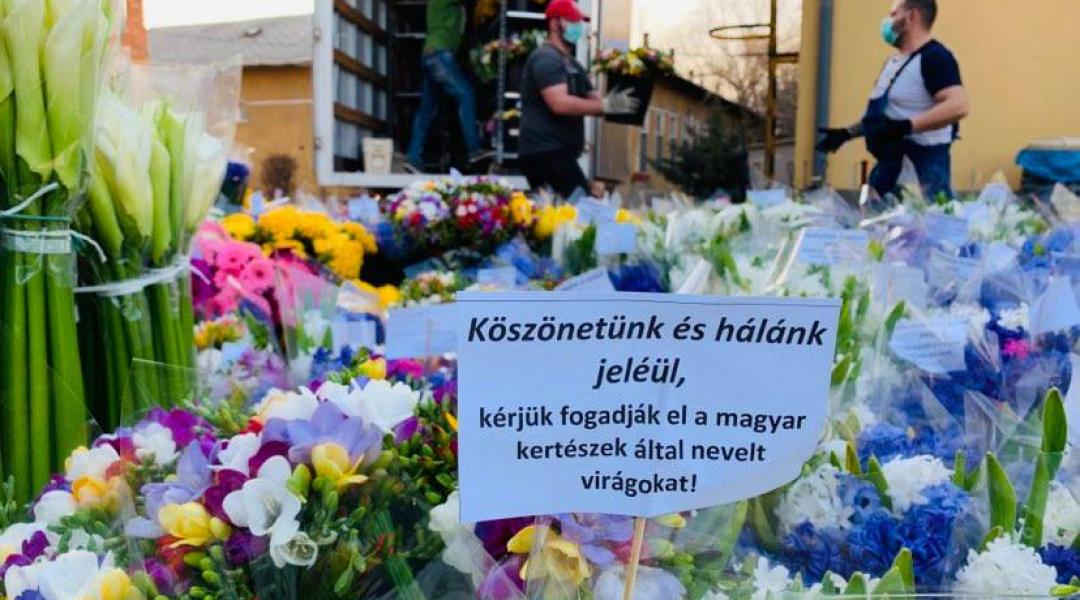 Segélykiáltás a magyar virágkertészektől!