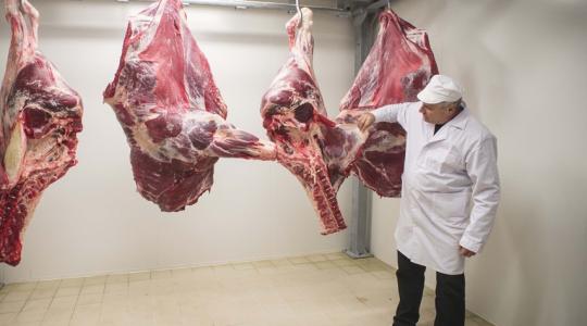 Súlyos gondok az európai marhahúspiacon