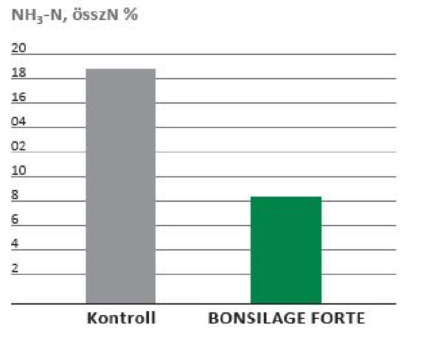 A BONSILAGE FORTE megvédi a fehérjéket az ammóniává alakulástól