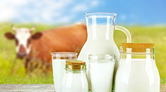 Változások a tejpiaci jelentéstétellel kapcsolatban