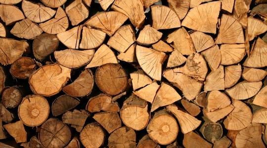 Már regisztrálhatnak az erdőgazdálkodók, tűzifa-értékesítők a Nébih online piacterére