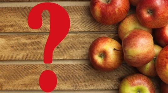 Mi az igazság a lengyel almatermés állapotáról?