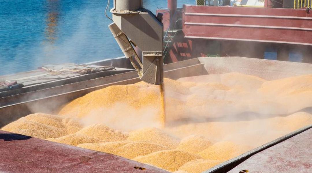 Bajban van a gabona és a repce, bizonytalanság a nemzetközi terménypiacon – mire számíthatnak a gazdák? 