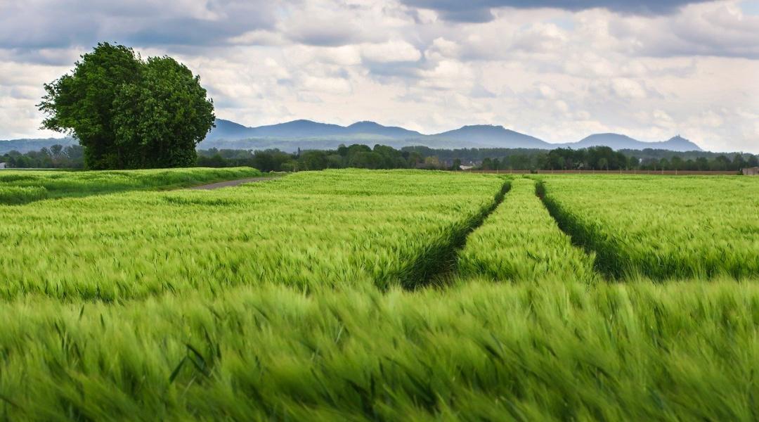 Zöld utat kapott az agrármentőcsomag: június végétől kezdődhet a kérelembeadás