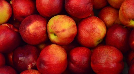 Lengyelországban rekord alacsony szinten az almakészlet