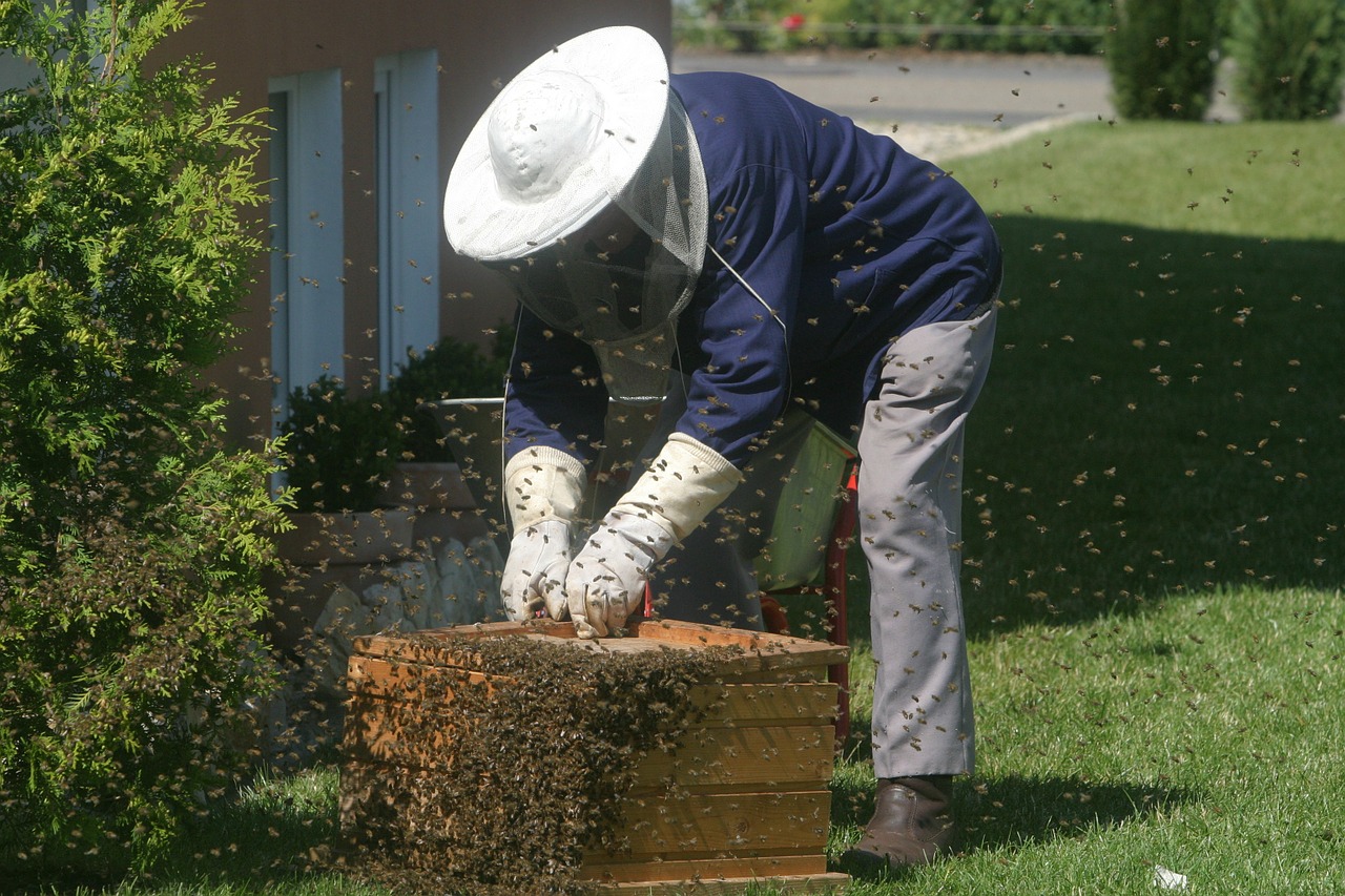 méhész munka közben