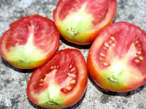 Amikor nem a tápanyaghiány a gond – mely tényezők befolyásolják a növények tápanyagfelvételét? 