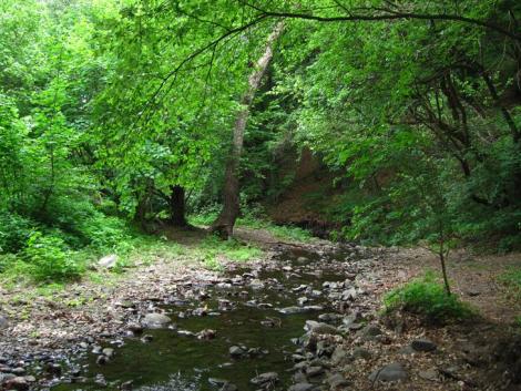 Nyitnak a nemzeti parkok! Ismét teljes kínálattal várják a pihenni és feltöltődni vágyókat
