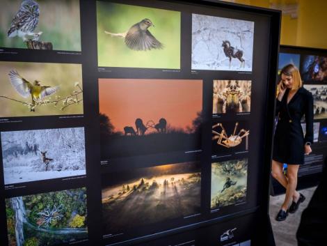 Megnyílt a Varázslatos Magyarország természetfotó-kiállítás