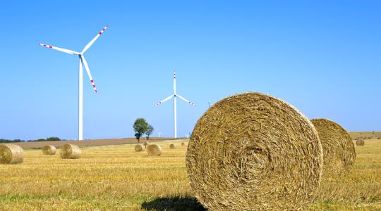 Tavaly 3,2 millió tonnát tett ki a hazai energetikai célú biomassza-felhasználás
