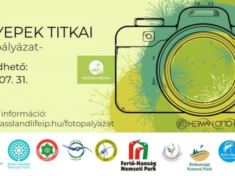 Fotópályázatot hirdetnek a gyepes élőhelyek értékeinek bemutatására