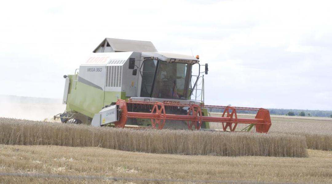 Bosszankodhatnak a gazdák: nem kedvez az időjárás az aratásnak