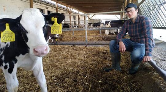 Miért érdemes állattenyésztésről tanulni?