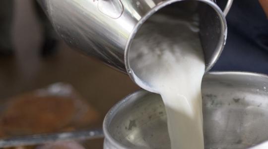 Több száz személyt foglalkoztató tejüzem zár be Romániában