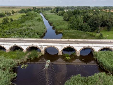 Halpusztulás a Hortobágy folyón! – KÉPEK
