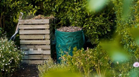 Körforgás a kertben – Minden, amit a környezettudatos komposztálásról tudni érdemes