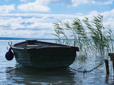 Valami nincs rendben a Balaton vizével – készültséget rendeltek el