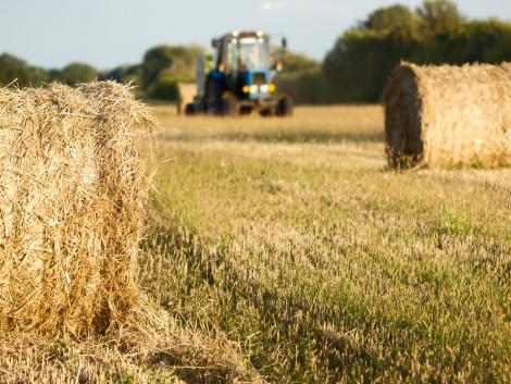 Több száz diák próbálhatja ki magát az agrárszakmában a nyáron