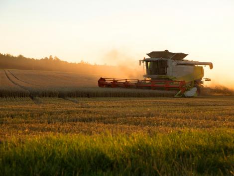 A várakozásokhoz képest több agrártámogatást kap Magyarország az uniótól