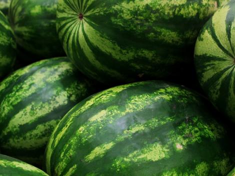 Egész Közép-Európát meghódítja a magyar dinnye