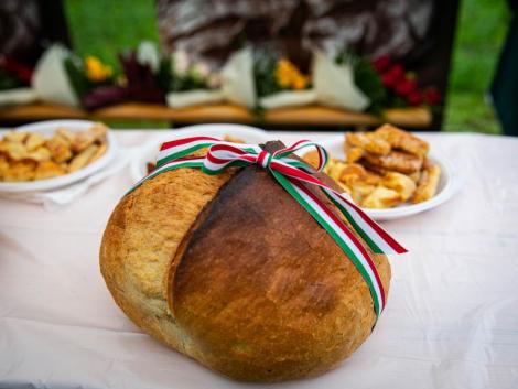 Egyre nagyobb társadalmi megbecsüléssel rendelkezik a magyar mezőgazdaság