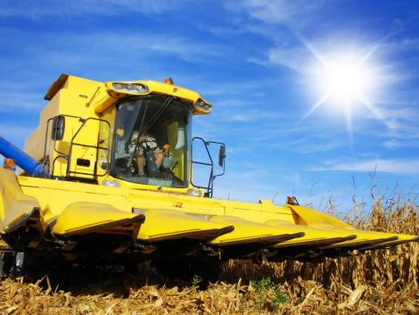 Jó hír az aratásra váró gazdáknak: szikkadnak a talajok, lehet folytatni a betakarítást