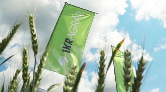 IKR Agrár online őszi búza fajtabemutató: versenyelőnyt biztosító termesztéstechnológia és fajták