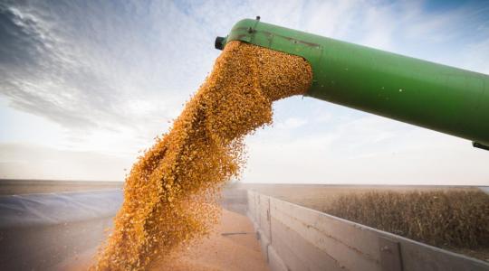 Soha nem látott mennyiségben vásárolt kukoricát Kína az Egyesült Államoktól