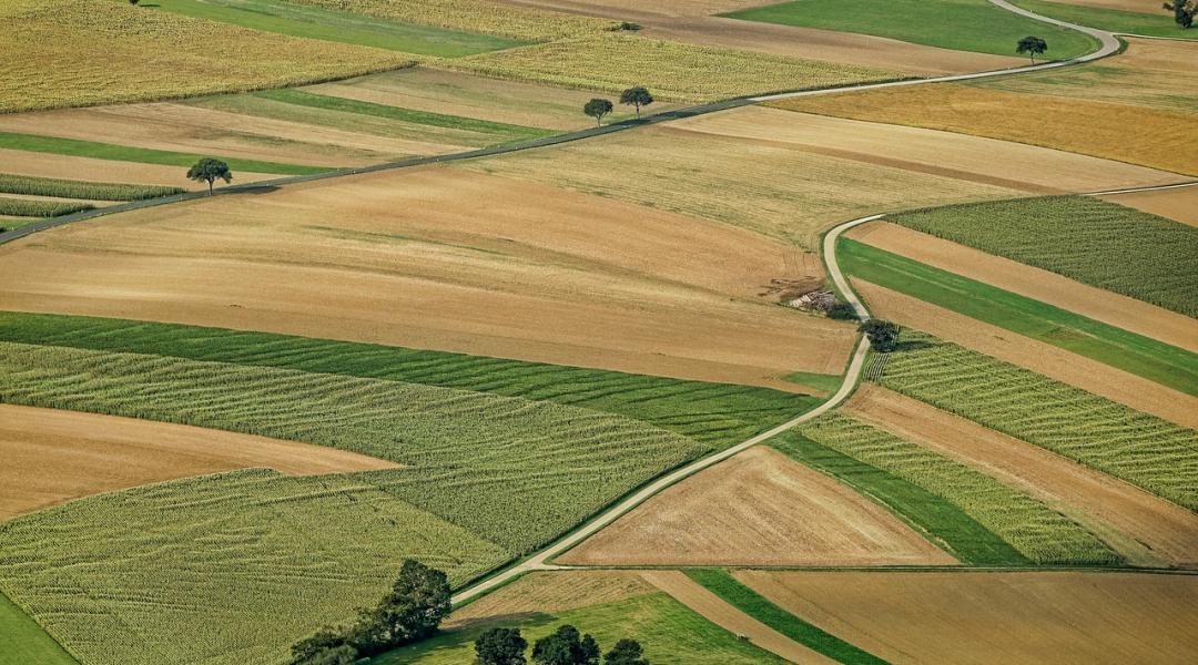 Műholdas növényállomány-megfigyelés a magyar gazdáknak