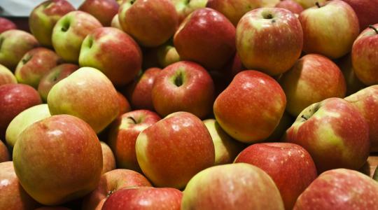 Rendkívüli helyzet és rendkívüli árak az almapiacon