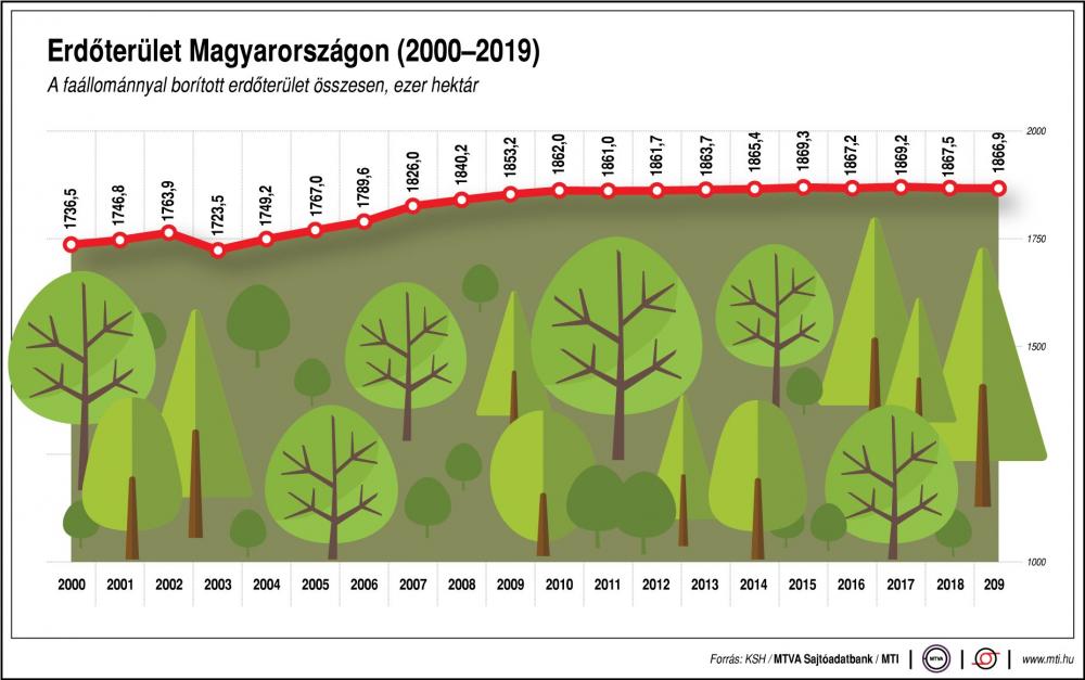 Erdőterület Magyarországon