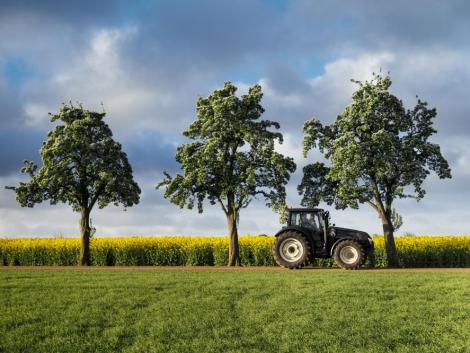 Milyen segítséget kaphatnak az agrárvállalkozások válság idején? 