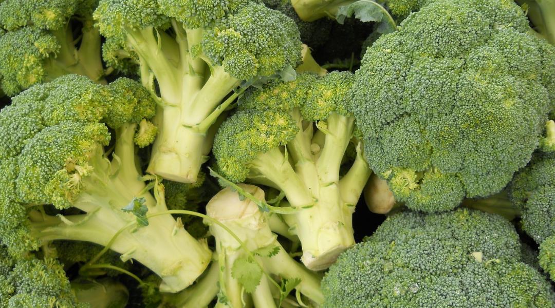 Termesszünk brokkolit! – Vitaminbomba, ami késő ősszel is szedhető!