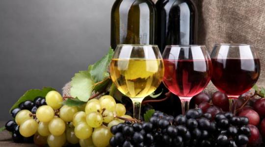 Jövő nyáron jöhet az új bortörvény
