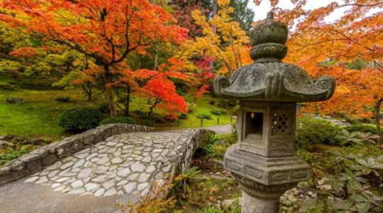 Hamarosan új japánkert nyílik Gyulán