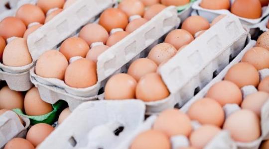 Nem várható komoly visszaesés az idei tojástermelésben