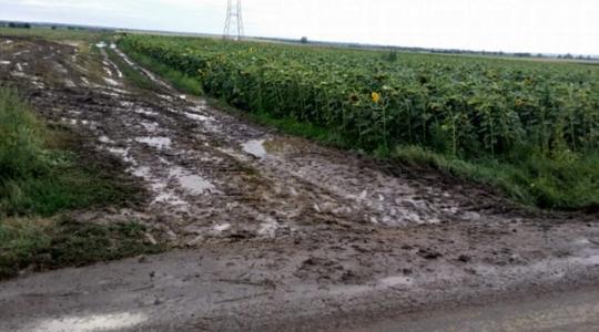 Komoly veszélyt jelent a közlekedőkre a mezőgazdasái gépek által az utakra felhordott sár