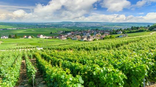 Íme, Magyarország legszebb szőlőbirtokai
