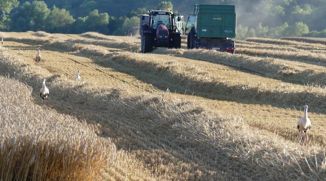 Jön az új Közös Agrárpolitika, de mit jelent ez a gazdáknak? 