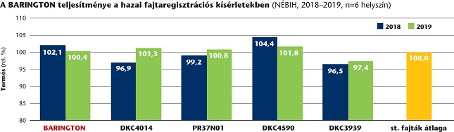 kukorica vetőmag