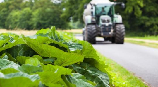 Traktornak csapódott egy személyautó Győr-Moson-Sopron megyében
