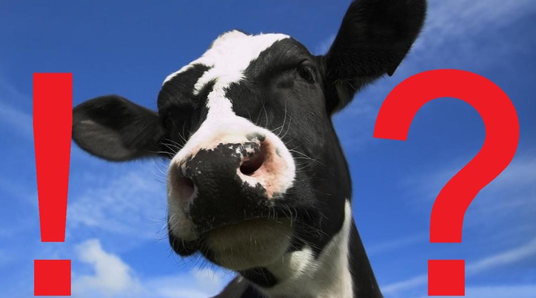 Hátborzongató az új tej, valódi állati sejtekből, de tehén nélkül! – Videó