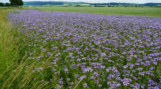 Még több zöldítést szorgalmaz a német agrárminiszter 2020 utánra