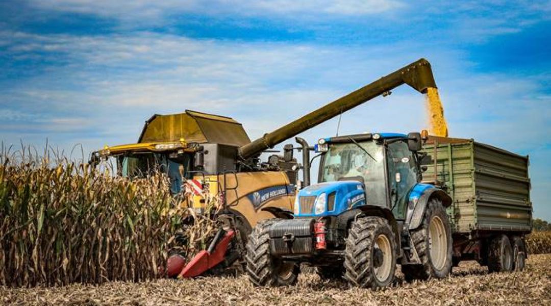 Elszabadultak a gabonaárak: nagy dilemmában a termelők