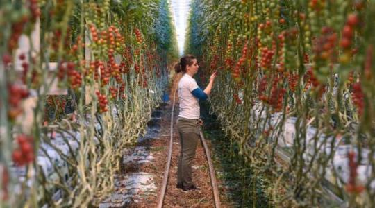 „Magyarország alkalmas arra, hogy Közép-Európa kertészeti centruma legyen”