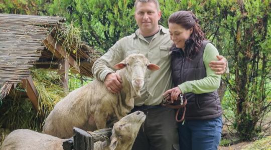 Sikeres öko családi gazdaság a Duna-Tisza közén? Találtunk egy jó példát! Sikeres öko családi gazdaság a Duna-Tisza közén? Találtunk egy jó példát!
