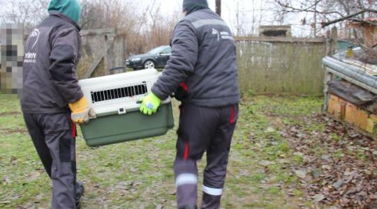 Tiltott állatviadalra csapott le a TEK – VIDEÓ