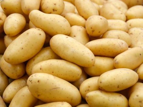 Hogyan marad sokáig friss a burgonya? Hát így! Hogyan marad sokáig friss a burgonya? Hát így!