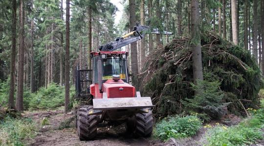 Agrárerdészeti online szakmai műhelynapot szervez a NAK
